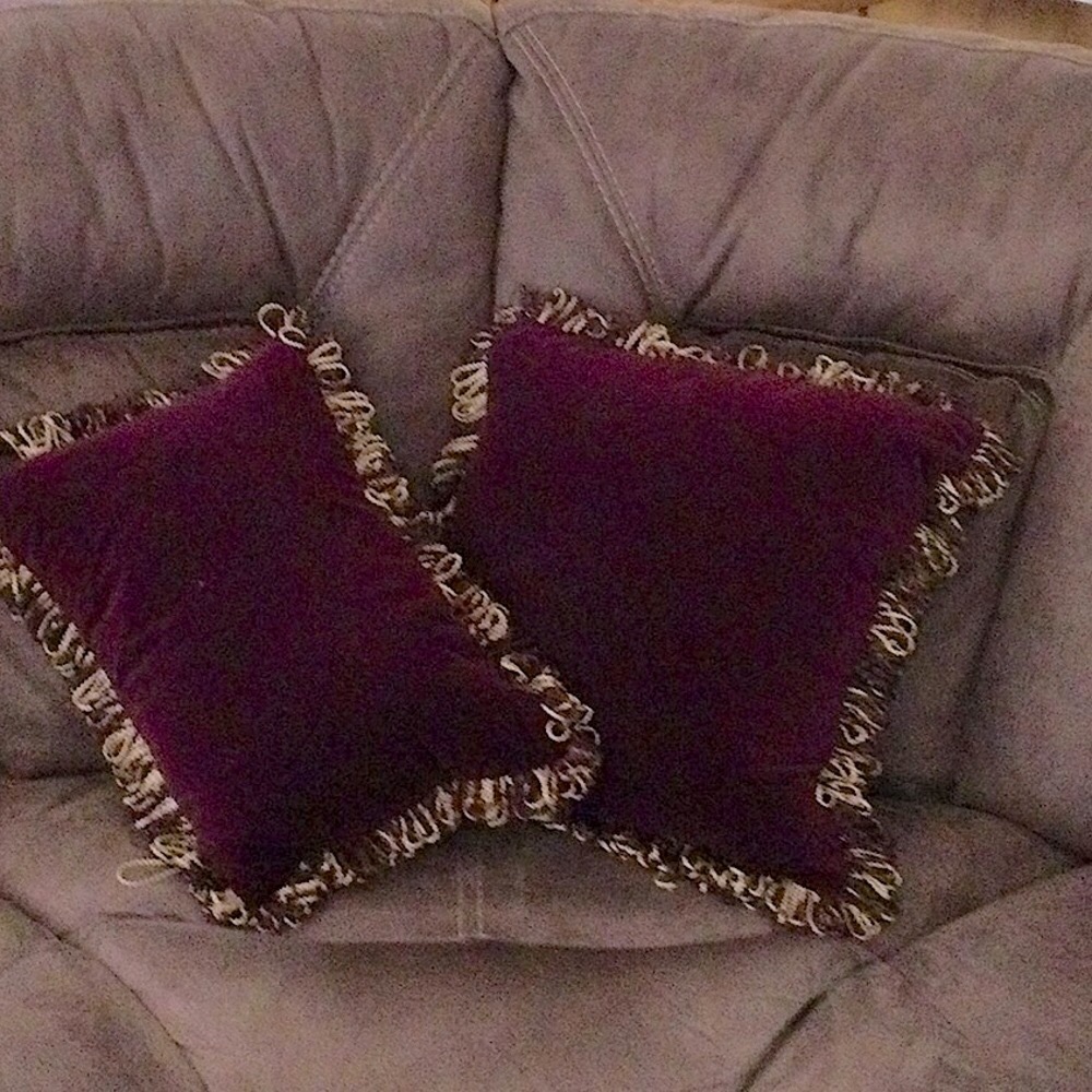 Beautiful Velvet Pillows EUC